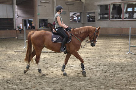 http://www.club-equestre-estaimpuis.com/Adh%C3%A9sion%20%20Cotisation/2011_05.jpg